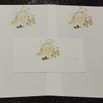 Papel de Carta Chihiro Iwasaki 21